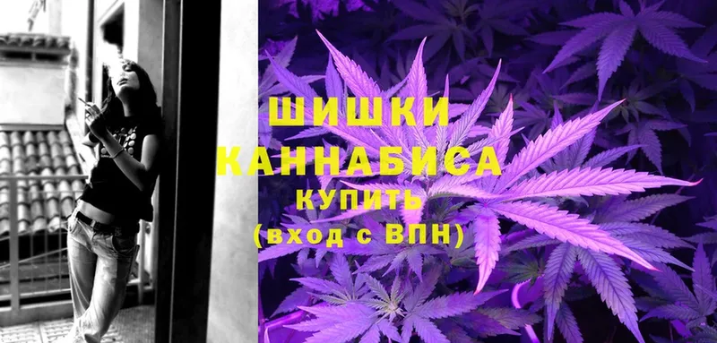 Конопля Amnesia  купить наркоту  Межгорье 